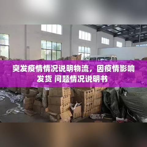 突发疫情情况说明物流，因疫情影响发货 问题情况说明书 