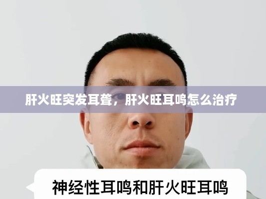 肝火旺突发耳聋，肝火旺耳鸣怎么治疗 