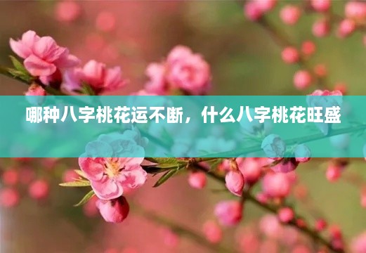 哪种八字桃花运不断，什么八字桃花旺盛 