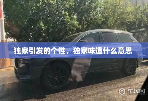 独家引发的个性，独家味道什么意思 