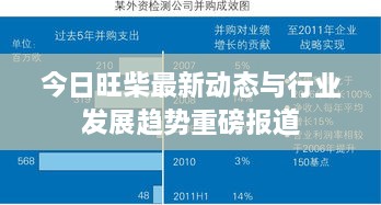 今日旺柴最新动态与行业发展趋势重磅报道