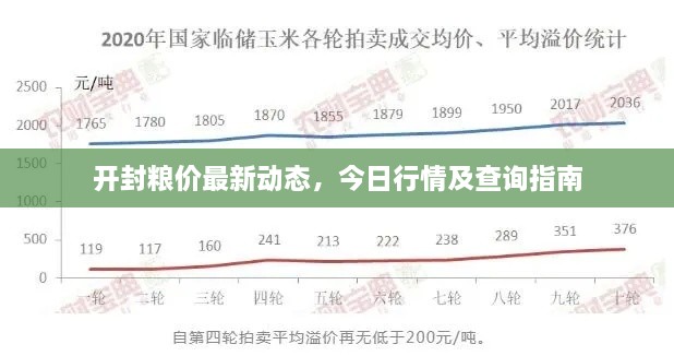 开封粮价最新动态，今日行情及查询指南