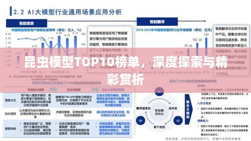 昆虫模型TOP10榜单，深度探索与精彩赏析