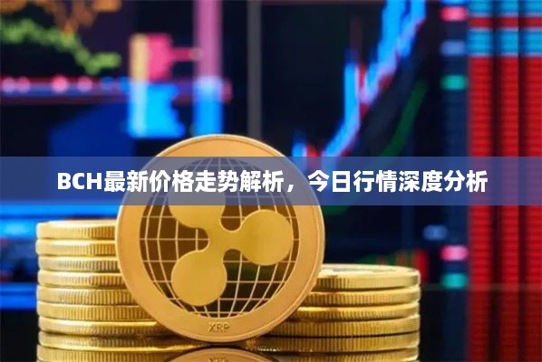 BCH最新价格走势解析，今日行情深度分析