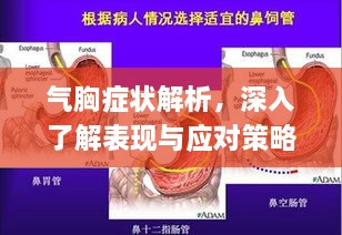 气胸症状解析，深入了解表现与应对策略