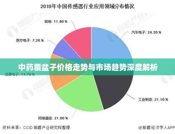 中药覆盆子价格走势与市场趋势深度解析