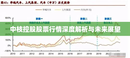 中枝控股股票行情深度解析与未来展望