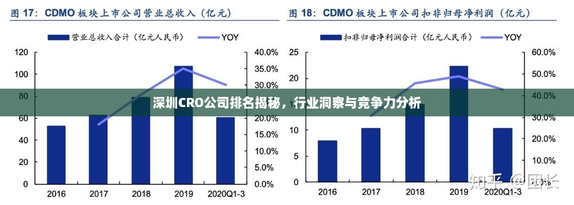 深圳CRO公司排名揭秘，行业洞察与竞争力分析