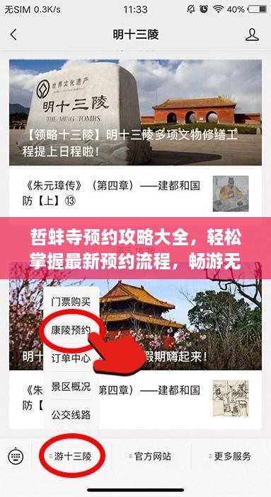 哲蚌寺预约攻略大全，轻松掌握最新预约流程，畅游无阻！