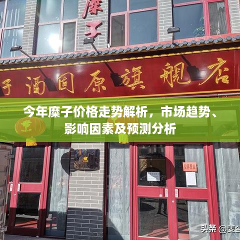 今年糜子价格走势解析，市场趋势、影响因素及预测分析