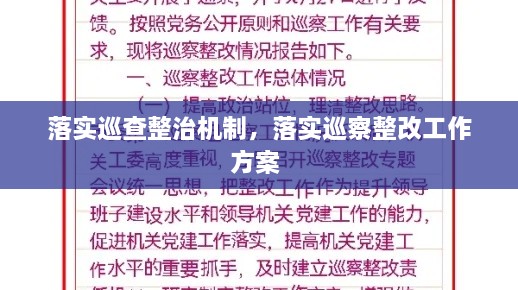 落实巡查整治机制，落实巡察整改工作方案 