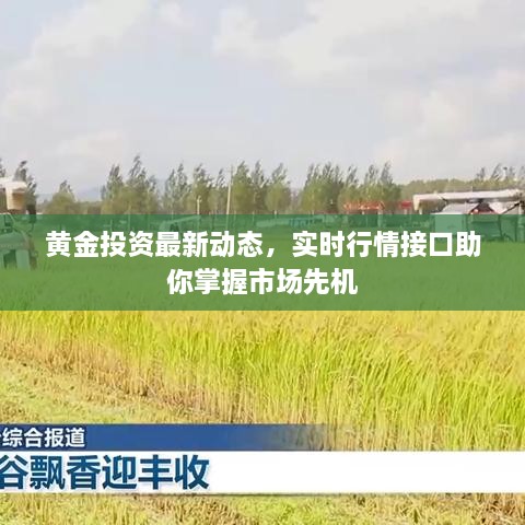 黄金投资最新动态，实时行情接口助你掌握市场先机