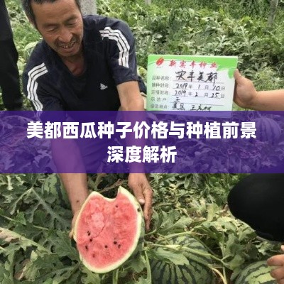 美都西瓜种子价格与种植前景深度解析