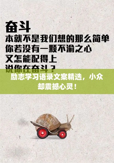 励志学习语录文案精选，小众却震撼心灵！