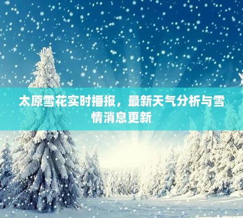 太原雪花实时播报，最新天气分析与雪情消息更新