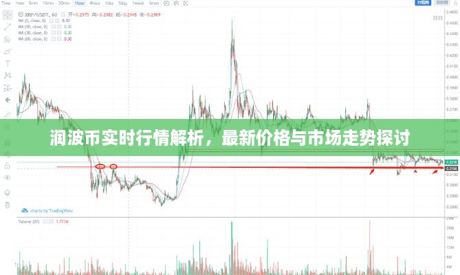 润波币实时行情解析，最新价格与市场走势探讨