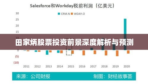 田家炳股票投资前景深度解析与预测