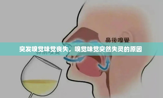 突发嗅觉味觉丧失，嗅觉味觉突然失灵的原因 