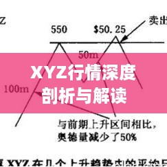 XYZ行情深度剖析与解读