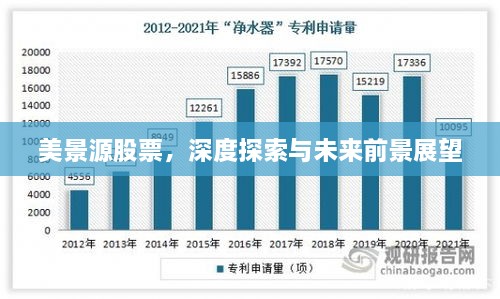 美景源股票，深度探索与未来前景展望