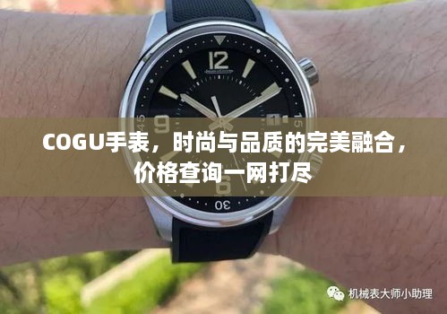 COGU手表，时尚与品质的完美融合，价格查询一网打尽