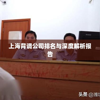 上海背调公司排名与深度解析报告