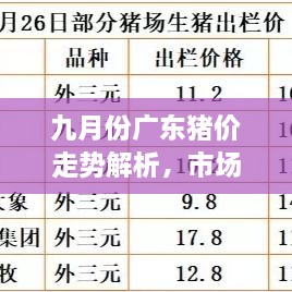 九月份广东猪价走势解析，市场行情、价格变动一网打尽