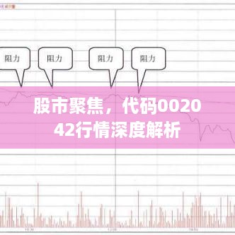 股市聚焦，代码002042行情深度解析