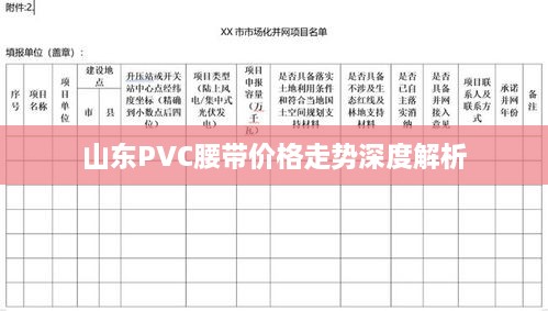 山东PVC腰带价格走势深度解析