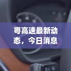 粤高速最新动态，今日消息一览