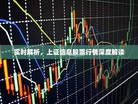 实时解析，上证信息股票行情深度解读