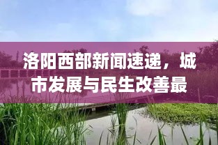 洛阳西部新闻速递，城市发展与民生改善最新动态报道