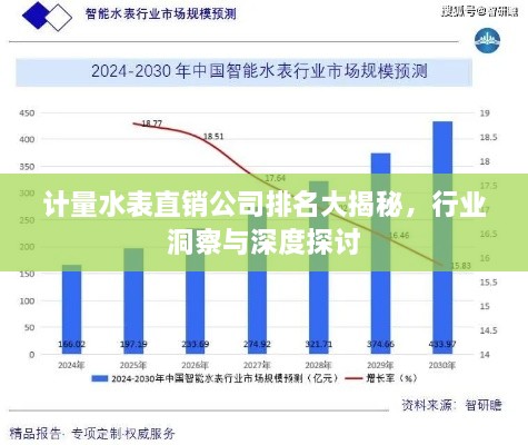 计量水表直销公司排名大揭秘，行业洞察与深度探讨