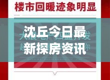 沈丘今日最新探房资讯速递