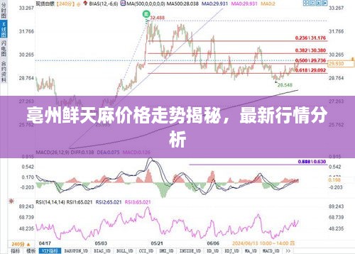 亳州鲜天麻价格走势揭秘，最新行情分析