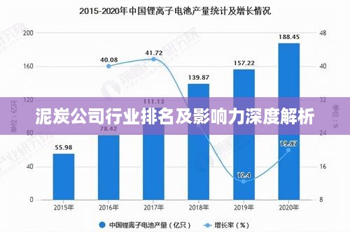 泥炭公司行业排名及影响力深度解析