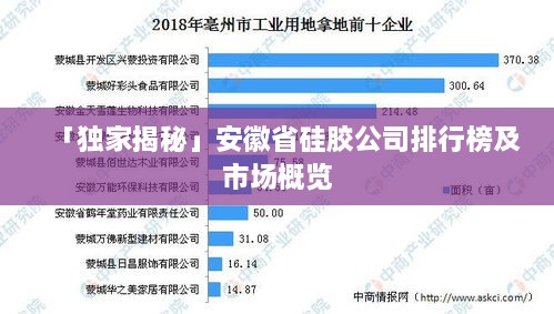 「独家揭秘」安徽省硅胶公司排行榜及市场概览