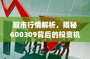 股市行情解析，揭秘600309背后的投资机会与挑战