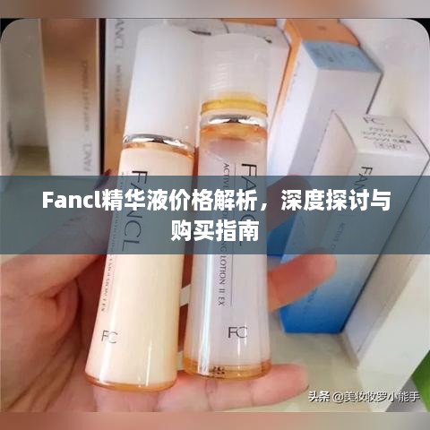 Fancl精华液价格解析，深度探讨与购买指南