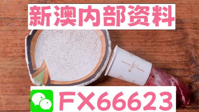 香港新澳精准资料免费提供，动态词语解释落实_The87.78.77