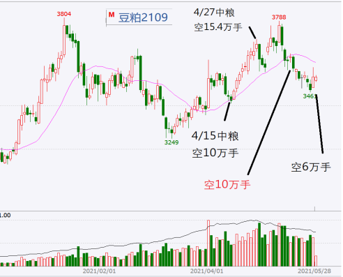 美豆粕期货行情分析与展望，最新市场动态及趋势预测