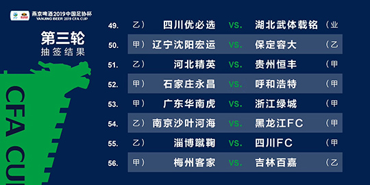 2024新澳门全年九肖资料，最佳精选解释落实_HD28.27.36