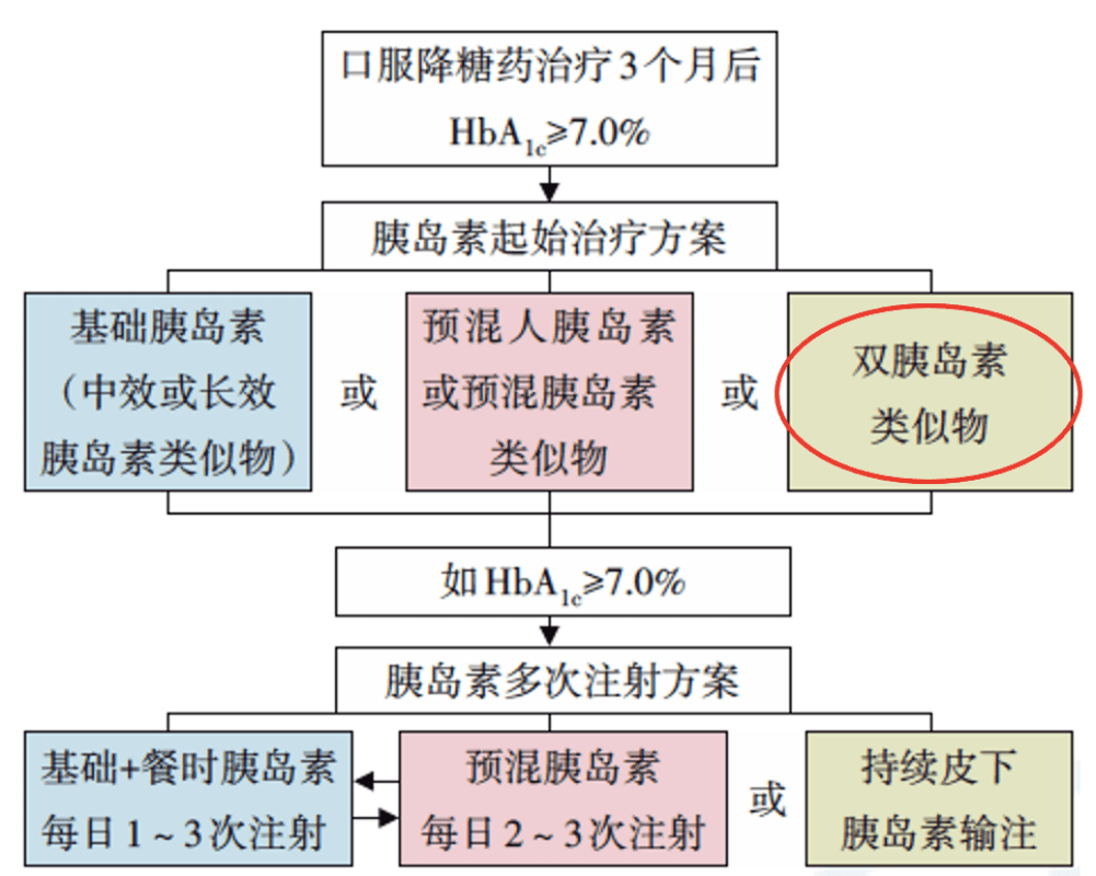 深圳全药网最新动态全面解读