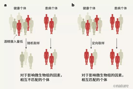 探索人体奥秘的新领域，最新窝窝人体研究揭秘人体奥秘