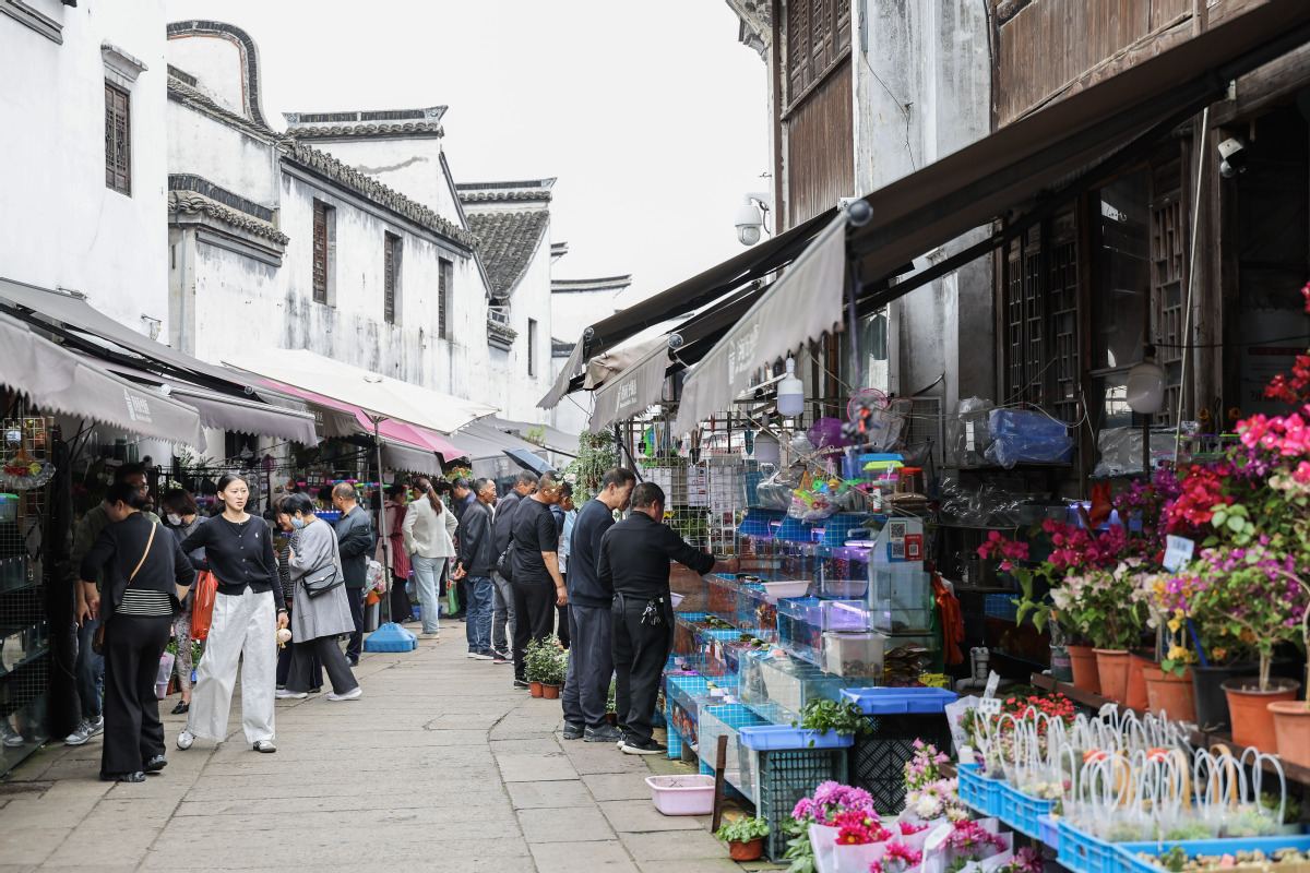 东西堤街搬迁进展及历史街区改造与居民安置最新消息