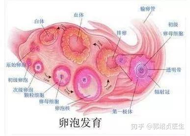 初告白 第122页