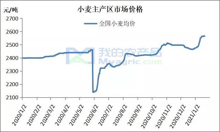 关于小麦价格的最新行情，以2月26日为例的行情分析（附小麦价格表）