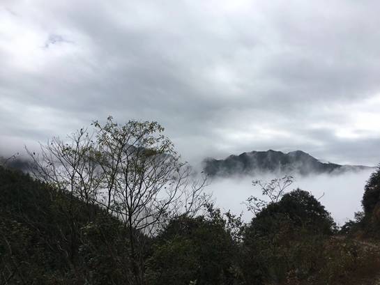 探索自然美景之旅，寻找内心的平和与宁静——Lu福利之旅的惊喜等待您！