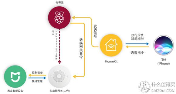 最新网链操作指南，一步步教你如何完成操作，生肖残疾知识科普