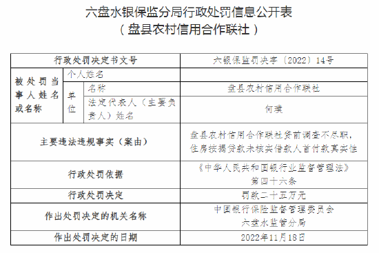 关于二胎罚款退款最新消息解读，全面解读29日二胎罚款退款最新动态